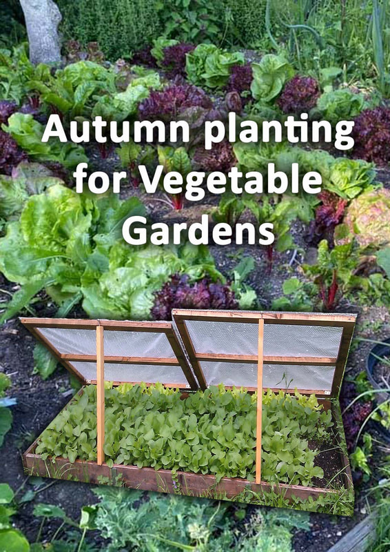 Autumn planting for vegetable gardens