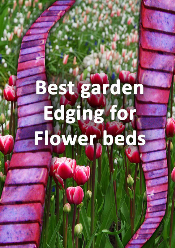 Best edging for flower beds