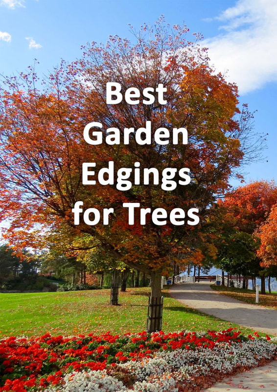 Best garden edging for trees