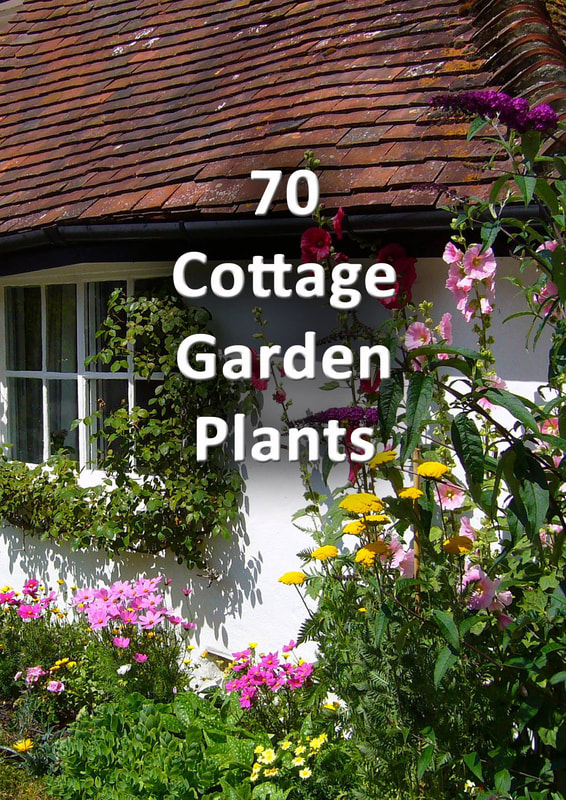 Cottage garden plants