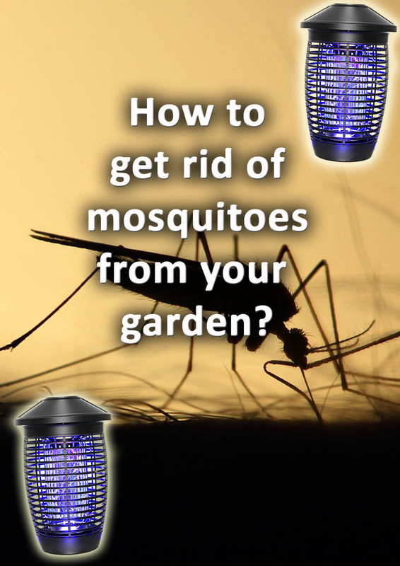 How to get rid of mosquitoes from your garden