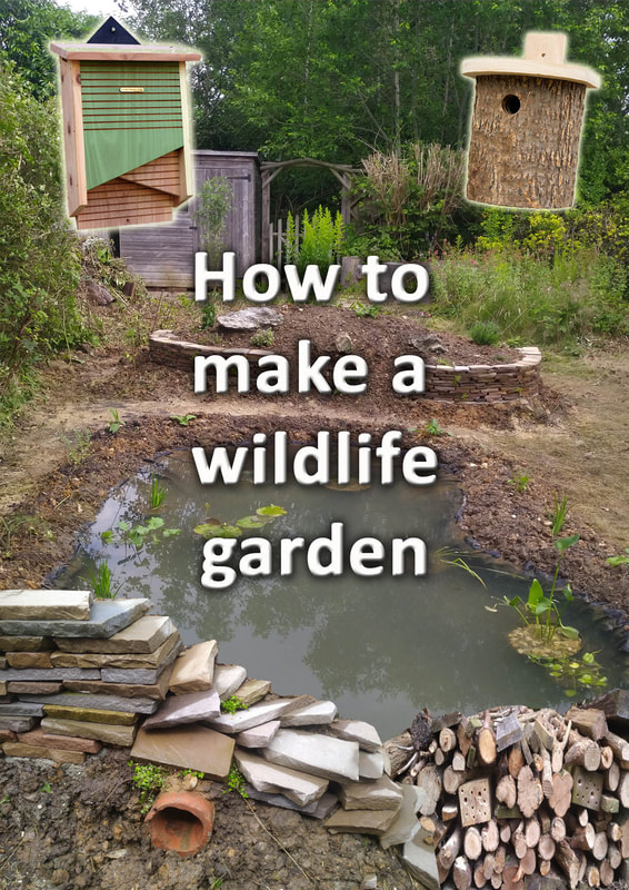 How to make a wildlife garden