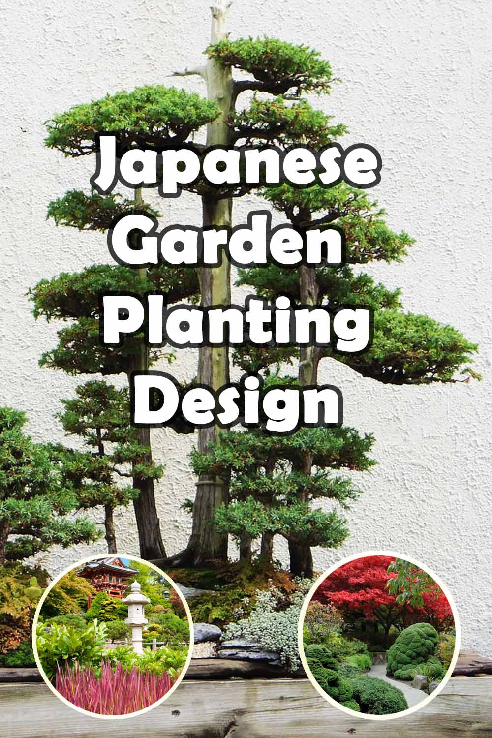 Japanese garden planting