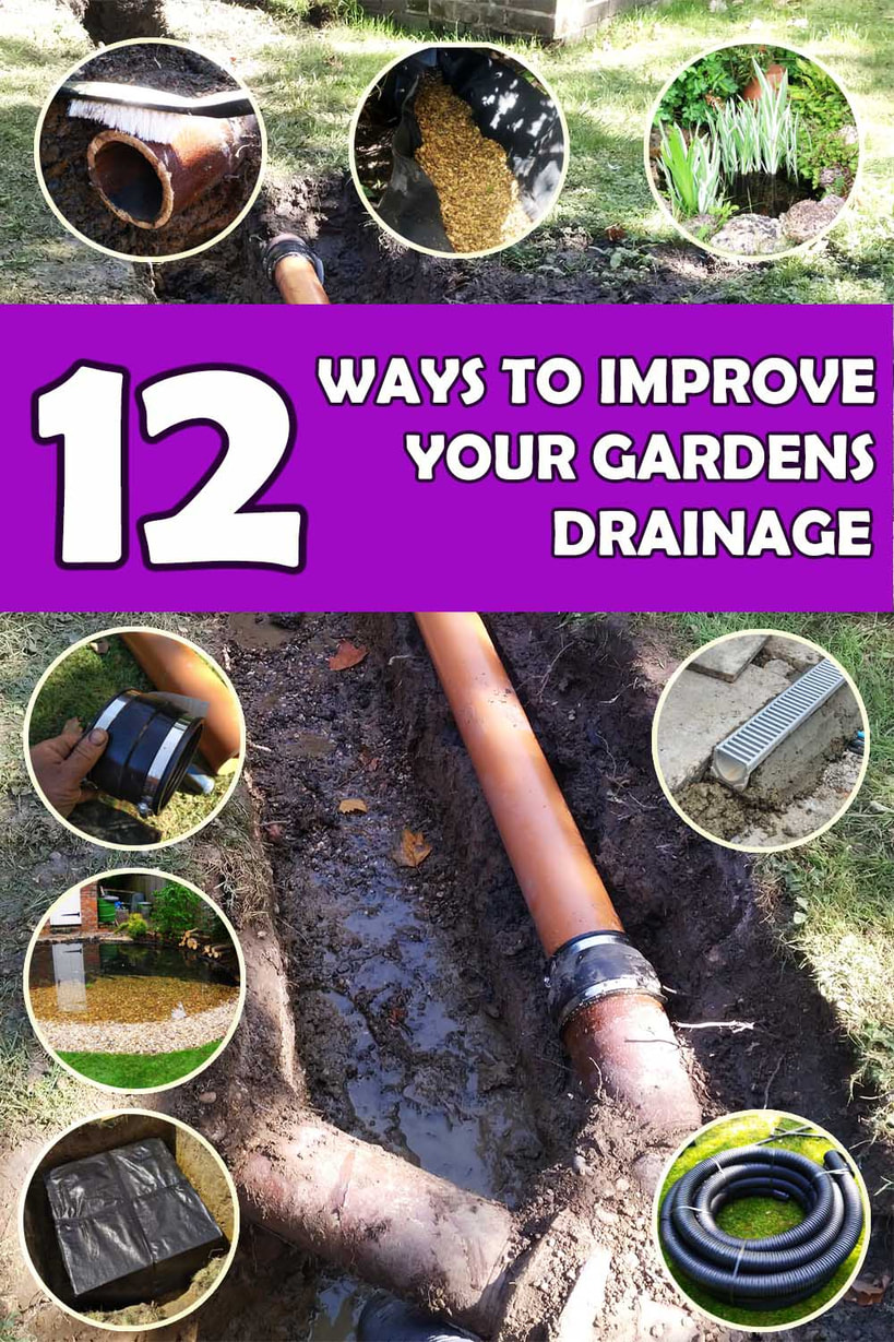 Ways to improve your gardens drainage