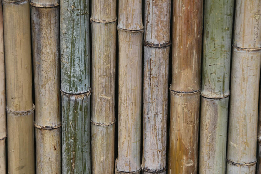 bamboo garden edging
