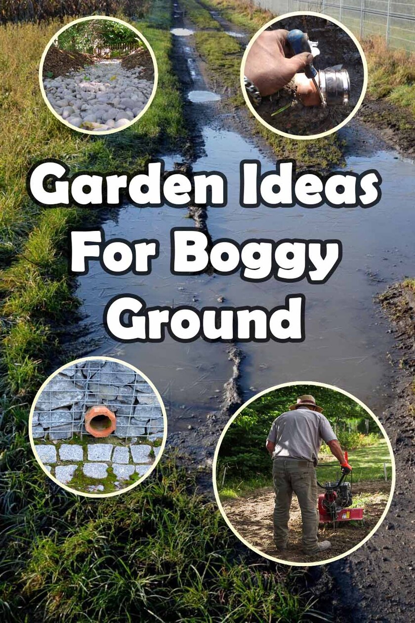 ideas for boggy ground
