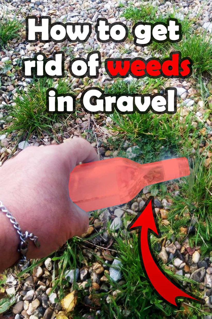 How to remove weeds from gravel