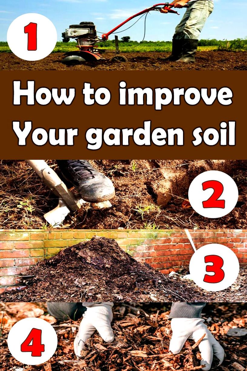 How to improve your garden soil