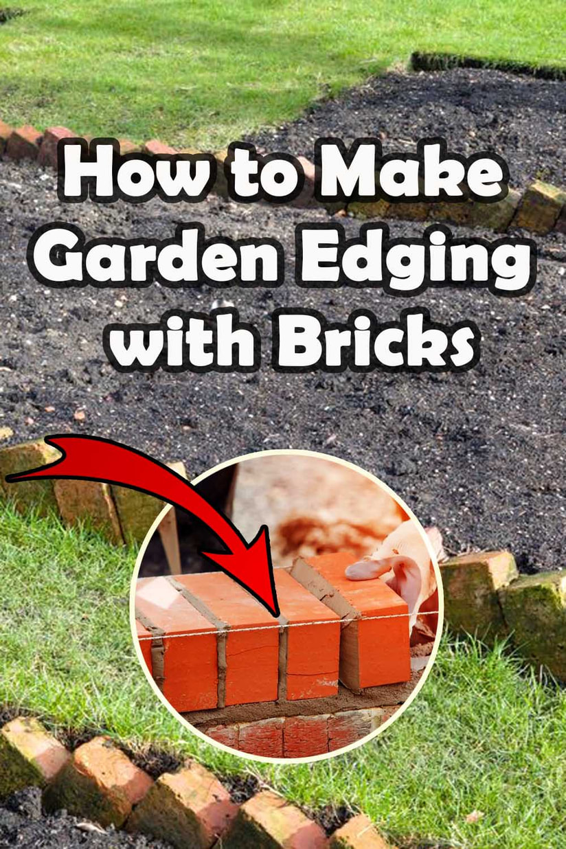 How to make garden edging with bricks
