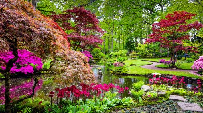 Japanese garden contrast