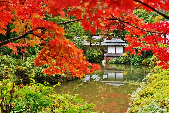 Japanese garden acer tea house
