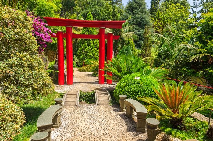 Tropical Japanese garden