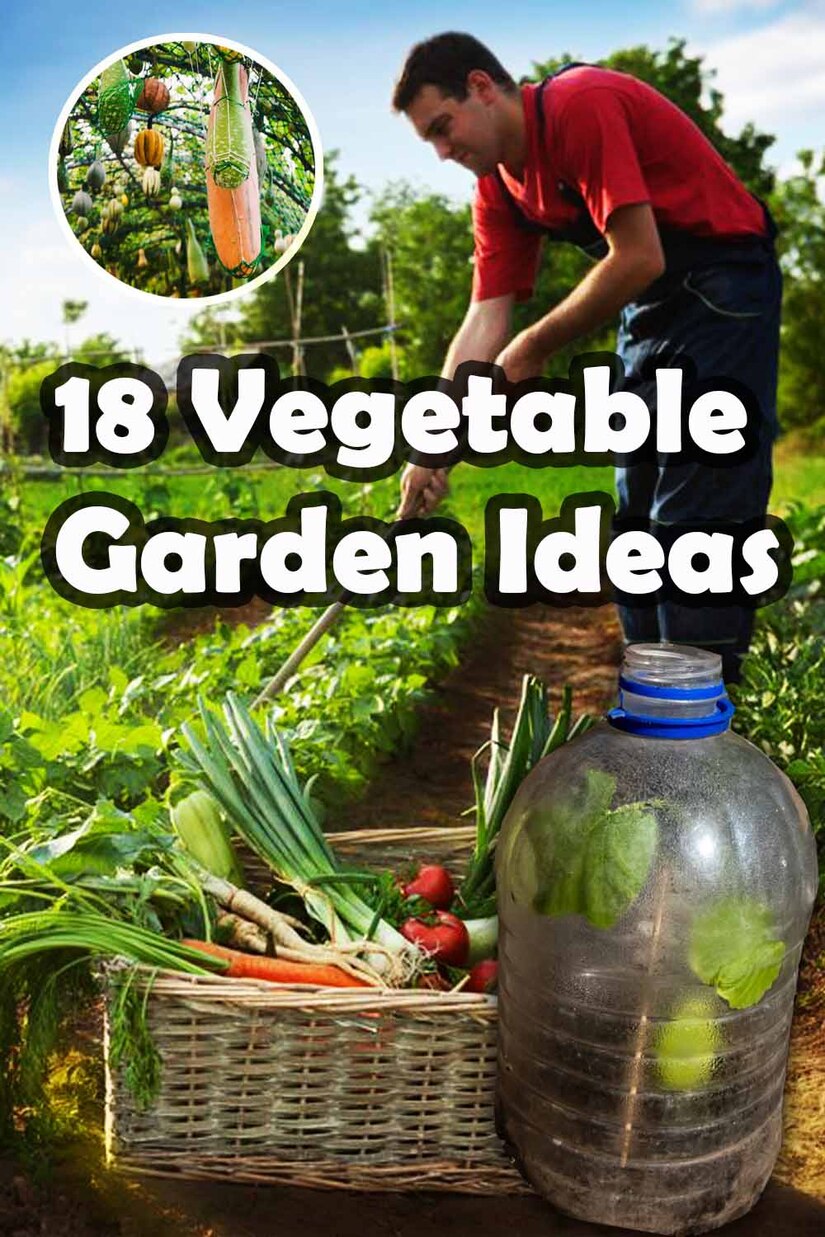 Vegetable garden ideas