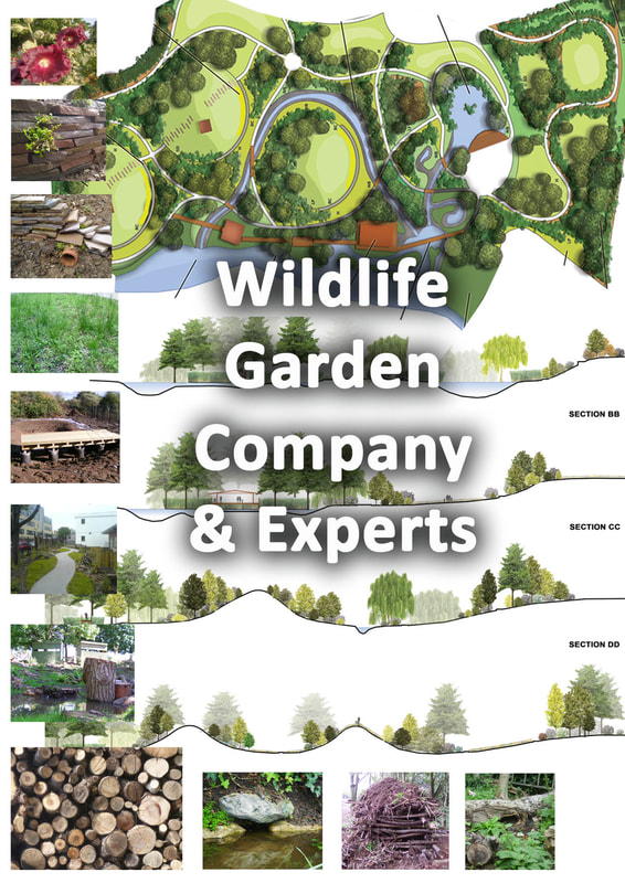 Wildlife garden experts