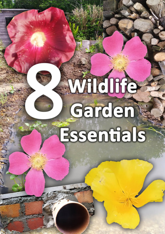 Wildlife garden essentials