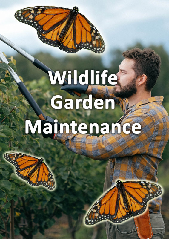 Wildlife garden maintenance
